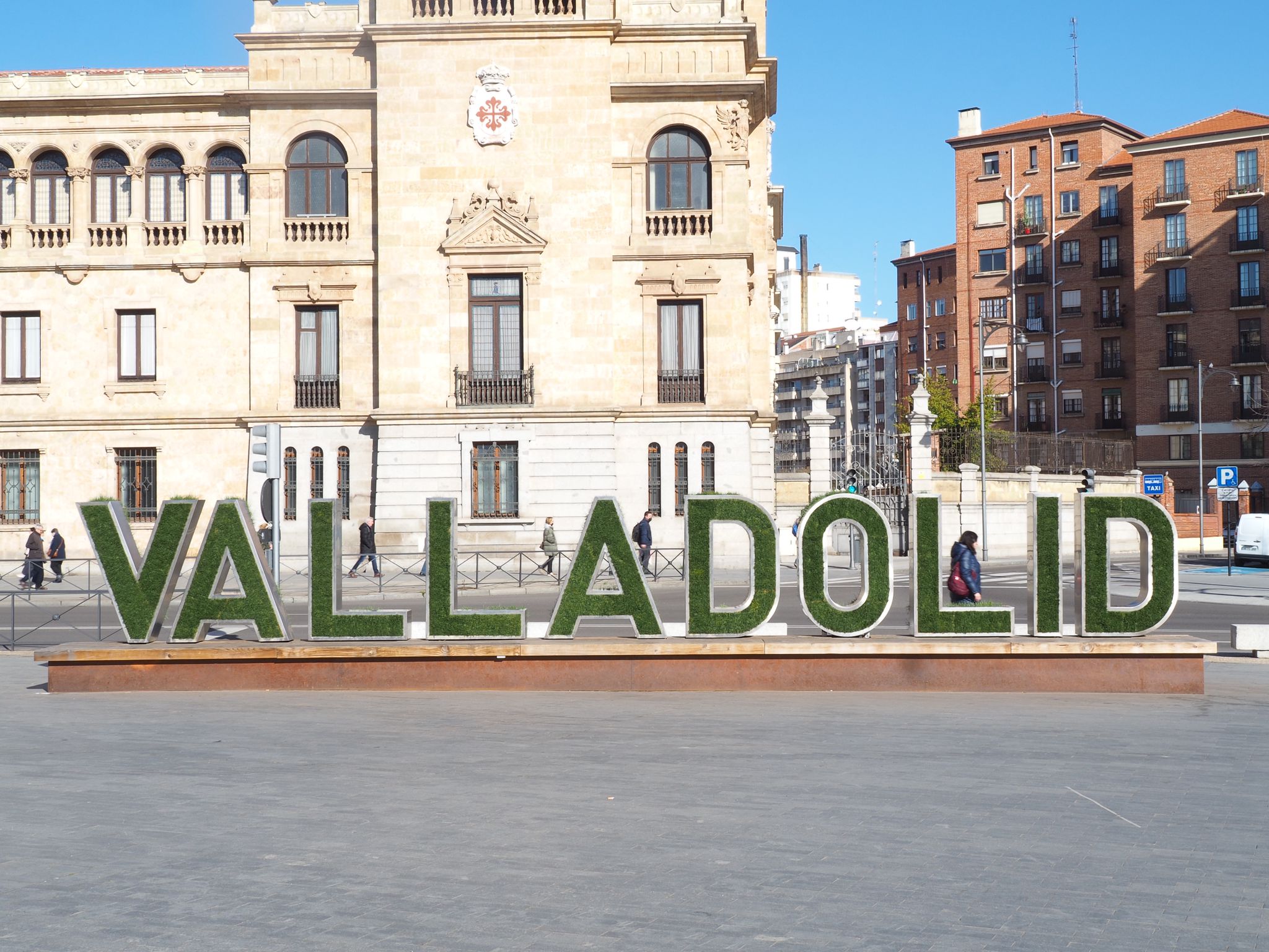Comida típica de Valladolid: un viaje por los sabores de la tierra castellana